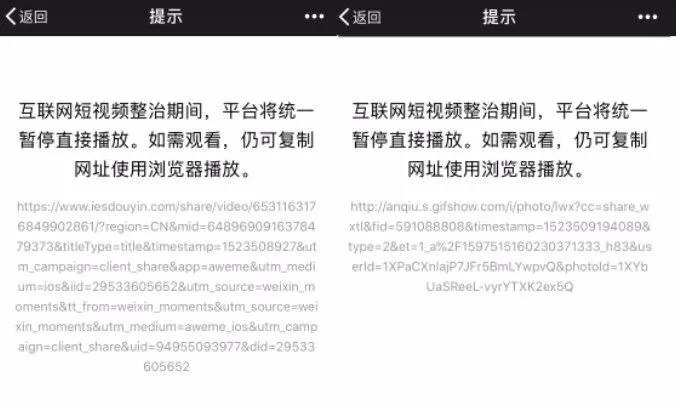 12.webp (1).jpg