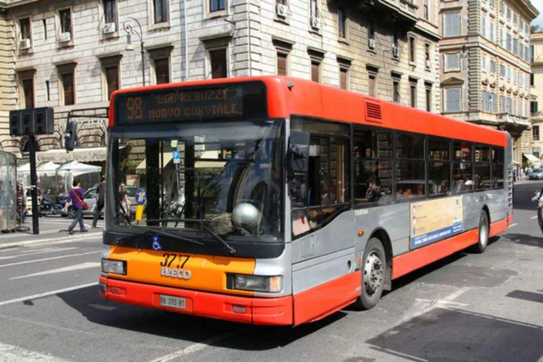 timg (1).jpg